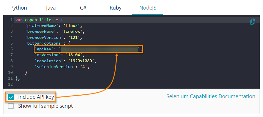code-snippet-include-api-key.png code-snippet-include-api-key.png